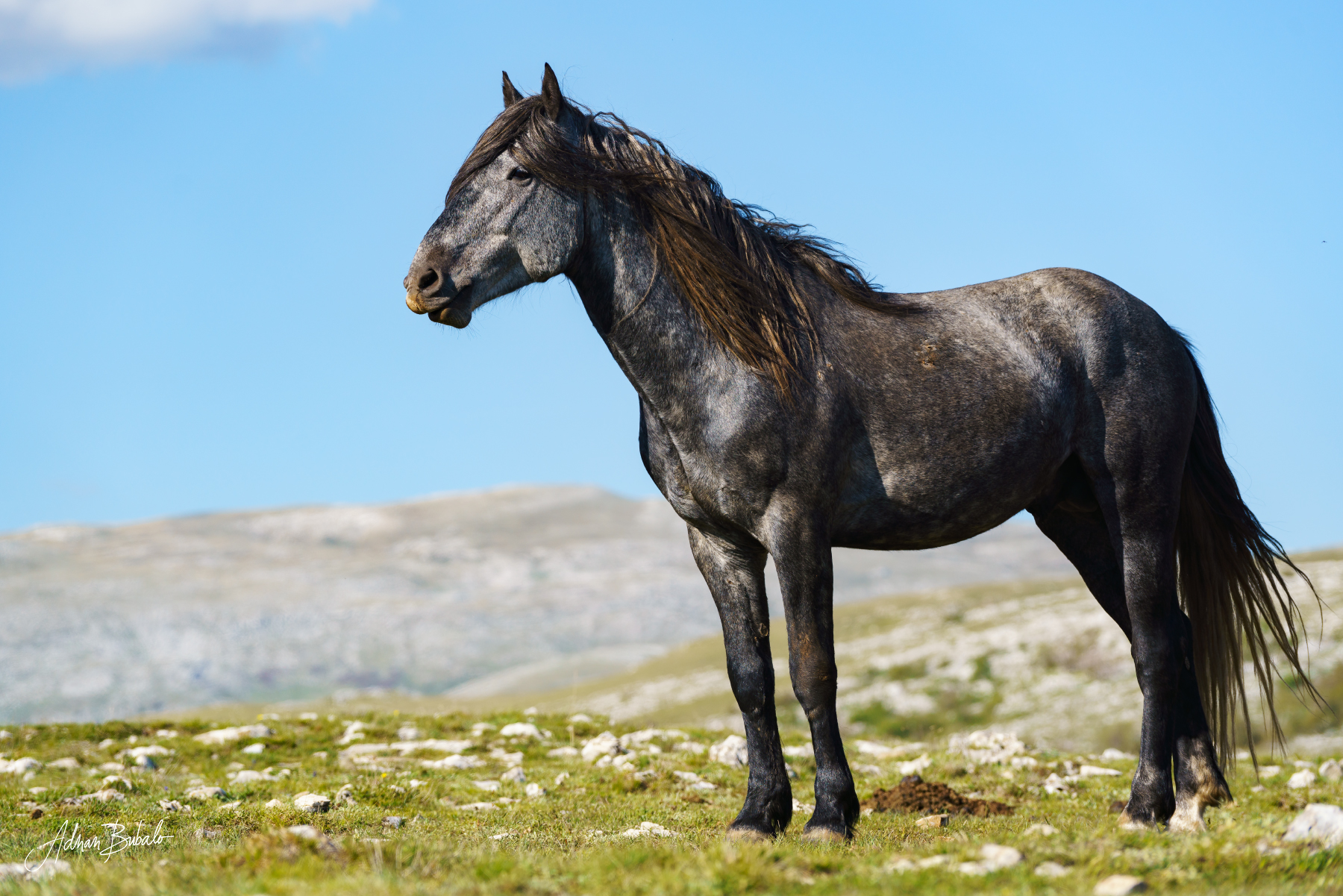 Gallery item 1f6896fe-9185-4af3-8cf1-454628cacd2e