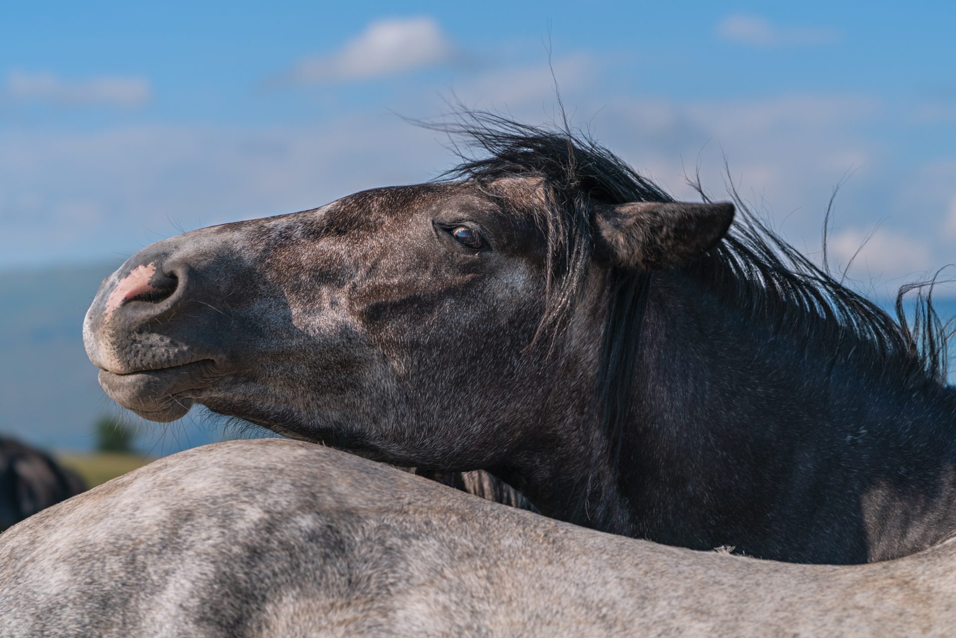 Gallery item 173ab48e-63ff-4319-8c1c-d9e21a87425f