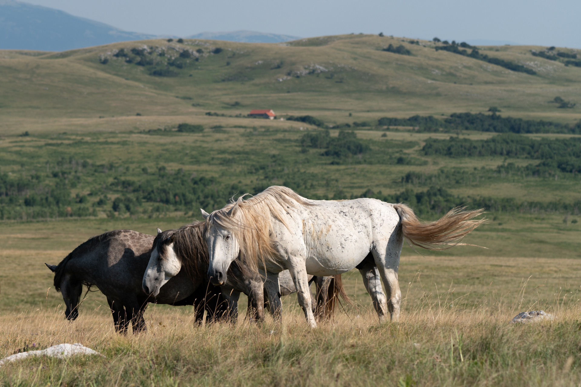 Gallery item 125d40e3-6a42-4f23-bdcd-43290d646163