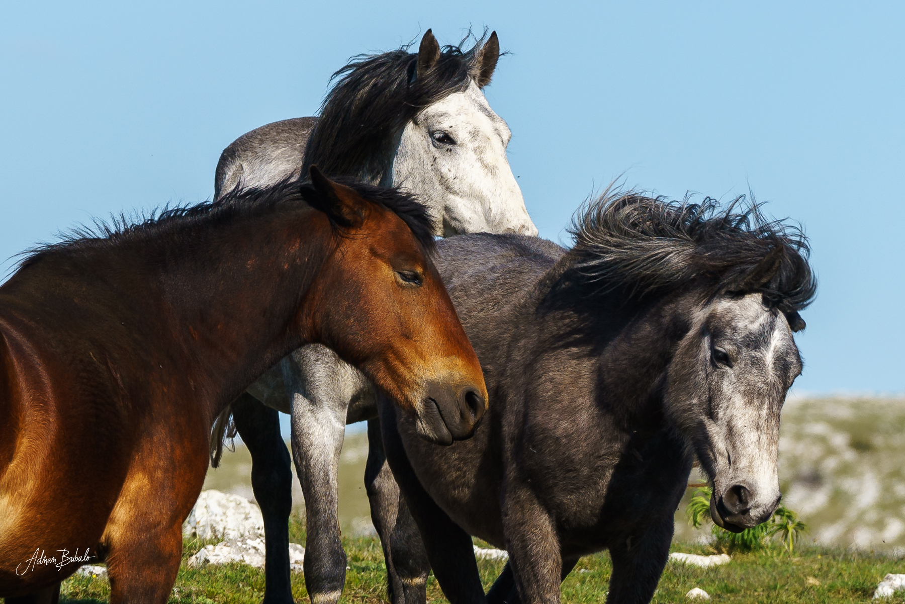 Gallery item f306297e-1031-4010-9912-dfab82b3ff36