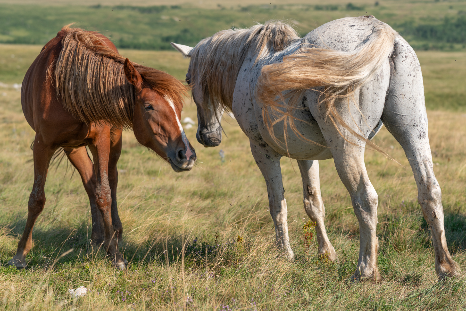 Gallery item 6b135308-d60e-43d1-a03b-fba4365bfef5