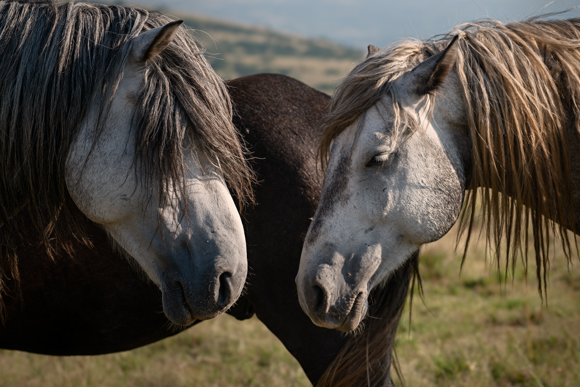 Gallery item 6d49e127-576d-4a8f-a2ba-61c81bbbec7e