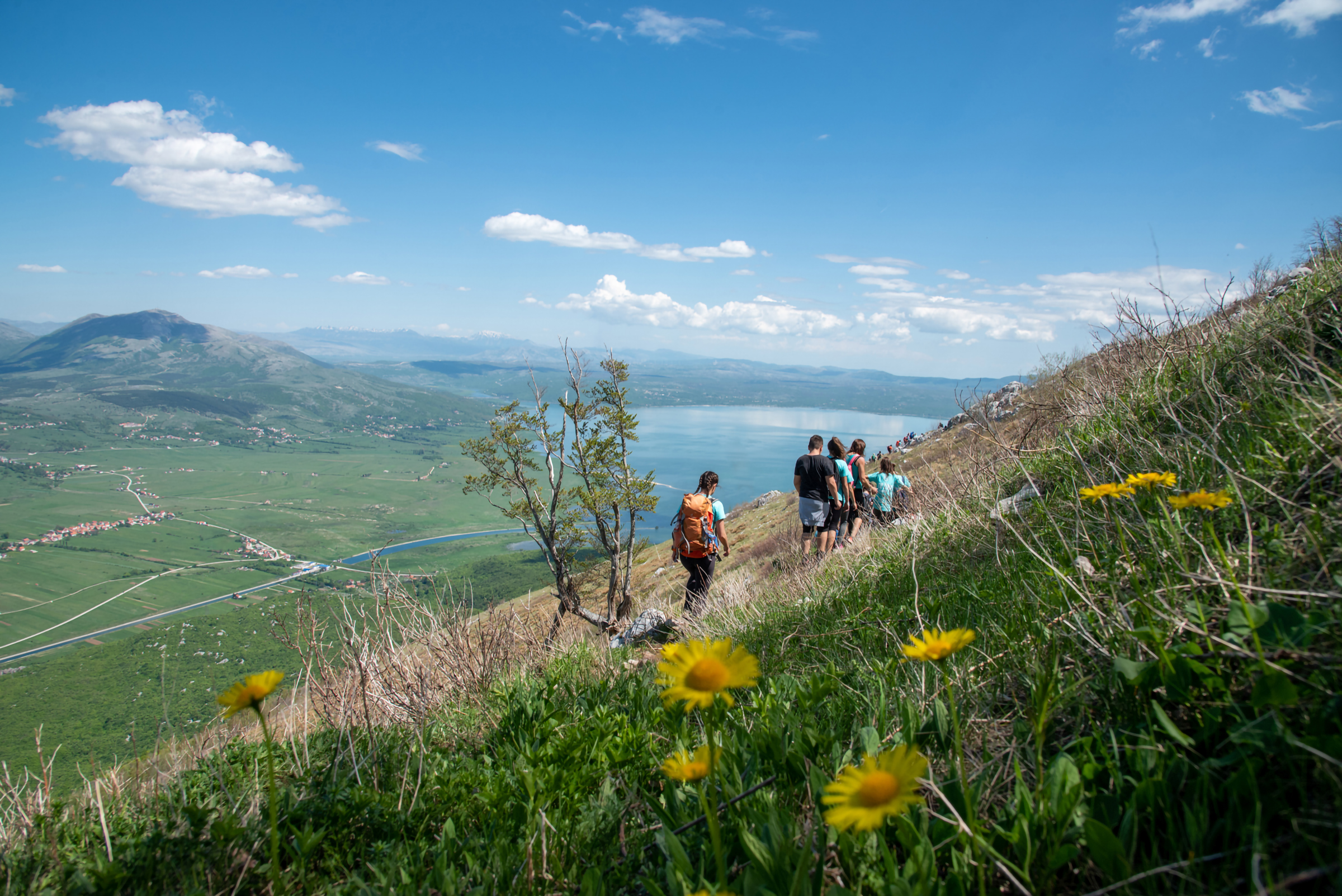 Gallery item db722df5-5edf-4e0c-8c23-2791192dd14b