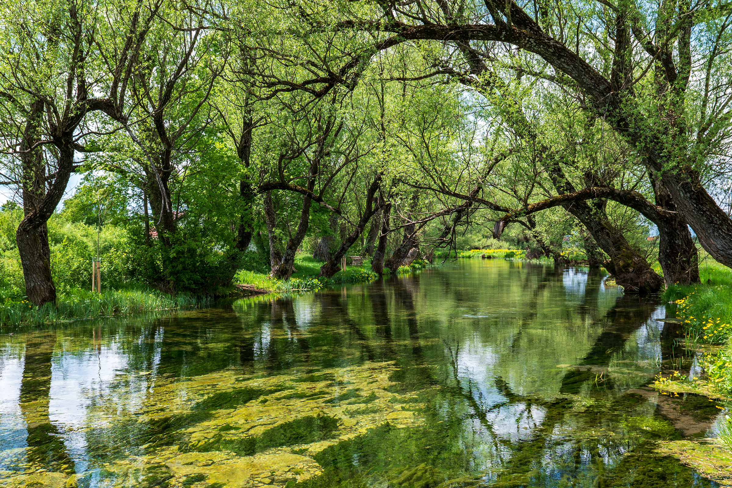 Gallery item 4537a6fc-1543-4a9d-856a-963810fca91f