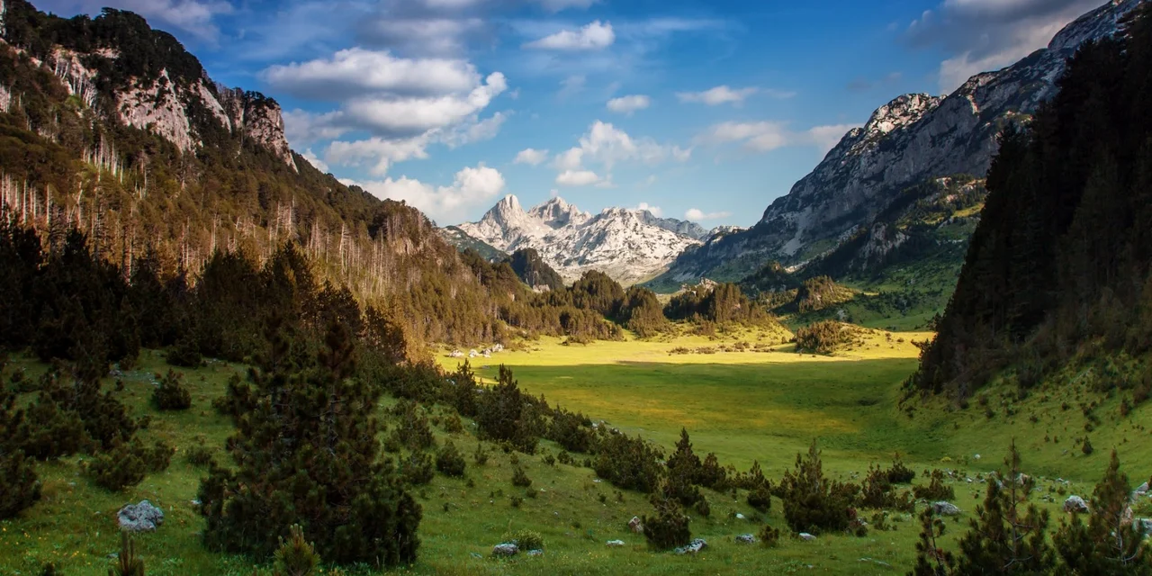 Your Place Under the Sun