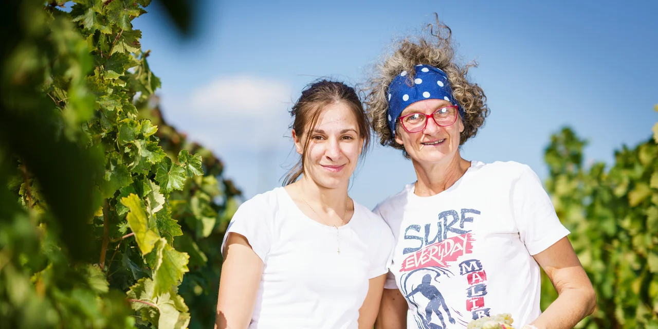 Herzegovina Wine Route